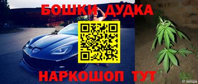СК Абинск
