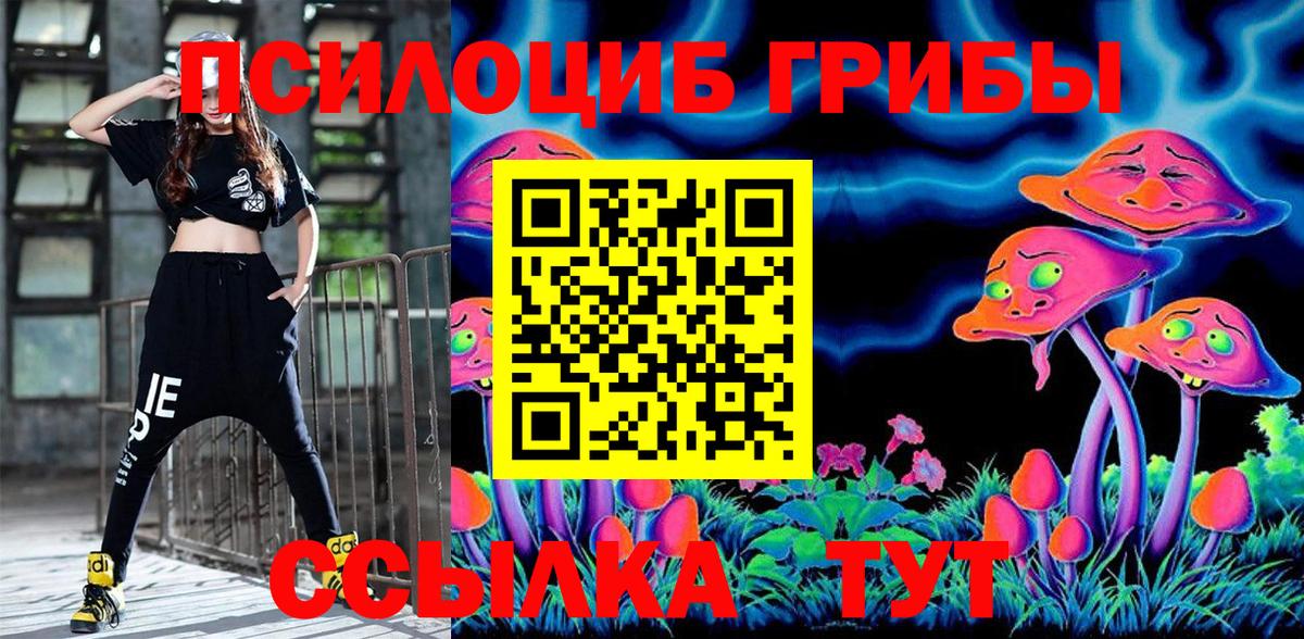 Псилоцибиновые грибы Psilocybine cubensis  Галлюциногенные грибы GOLDEN TEACHER  Анапа  Вход с VPN 