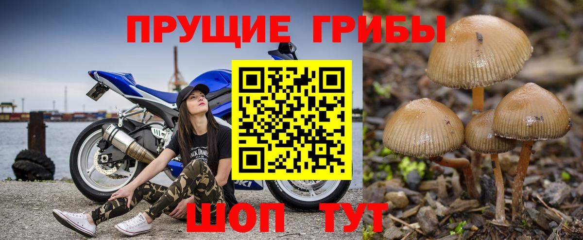Галлюциногенные грибы мицелий Анапа